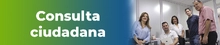 Consulta ciudadana