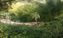 Foto 8 Visita DC-SEVILLA PARQUE ECOLANDIA