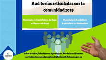 Auditorías Articuladas. Vigencia 2019