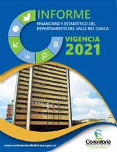 pantallazo informe financiero