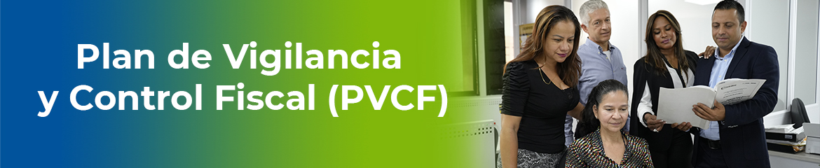 Plan de Vigilancia  y Control Fiscal (PVCF)