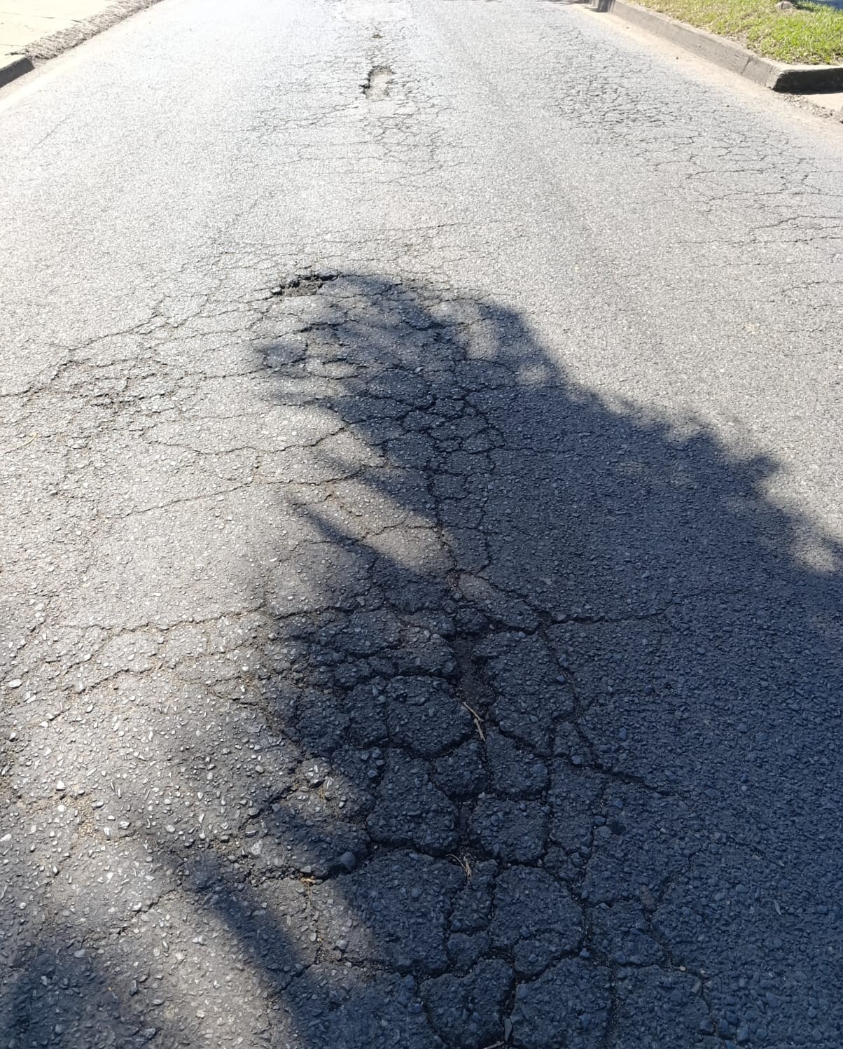 Foto9 Denuncia El Cerrito