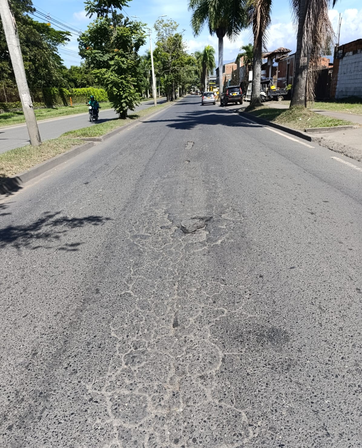 Foto6 Denuncia El Cerrito Foto6 Denuncia El Cerrito